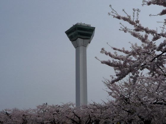 2010年5月10日五稜郭タワーと桜2.jpg